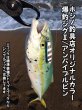 画像3: JAZZ×ホシノ釣具店【ホシノ釣具店オリカラ】爆釣ジグII 40g (3)