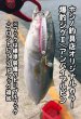 画像4: JAZZ×ホシノ釣具店【ホシノ釣具店オリカラ】爆釣ジグII 40g (4)