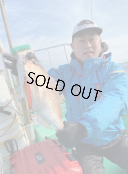 画像2: ブリード　ブルテリア150ｇ　赤金 (2)