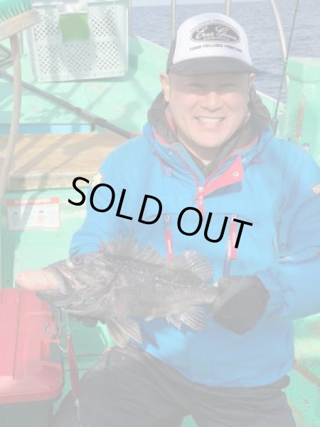 画像3: ブリード　ブルテリア150ｇ　赤金 (3)