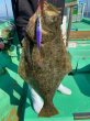 画像3: シーフロアコントロール　スパンキー180ｇ　ふじ丸カラー2 (3)