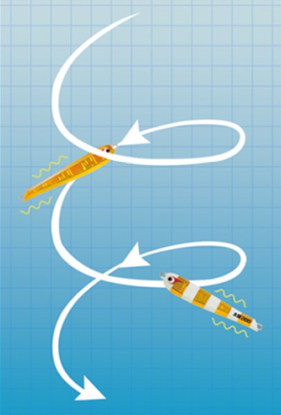 画像2: ボーズレス　TG太閤ヒデヨシ250ｇ　ゼブラシルバー (2)