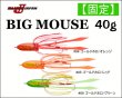 画像1: ダミキジャパン　固定式ビッグマウス　40g (1)