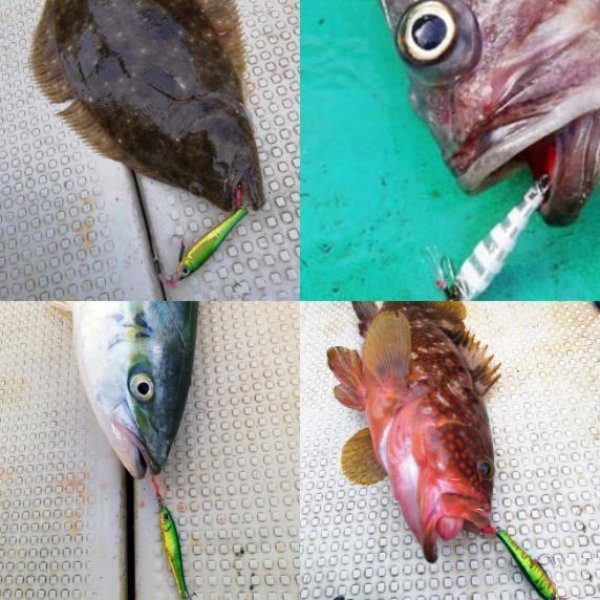 画像2: テイルウォーク　YUMMY JIG TG　45ｇ (2)