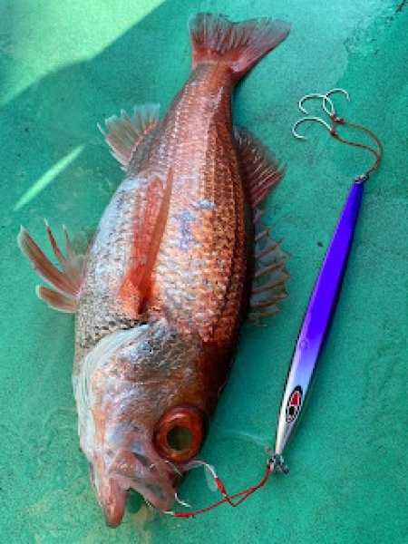 画像2: シーフロアコントロール　アロー180ｇ　ふじ丸オリカラ2（N） (2)