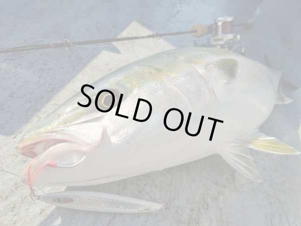 画像3: シーフロアコントロール　アム300ｇ　チタンゼブラグロー (3)