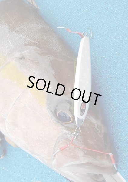 画像6: シーフロアコントロール　アム300ｇ　チタンゼブラグロー (6)