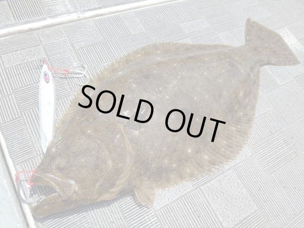 画像5: シーフロアコントロール　アム300ｇ　チタンゼブラグロー (5)