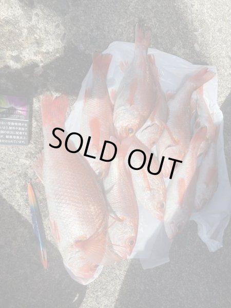 画像3: シーフロアコントロール　メサイアセミロング180ｇ　ホシノ釣具店オリカラ　インバーティドカラー (3)