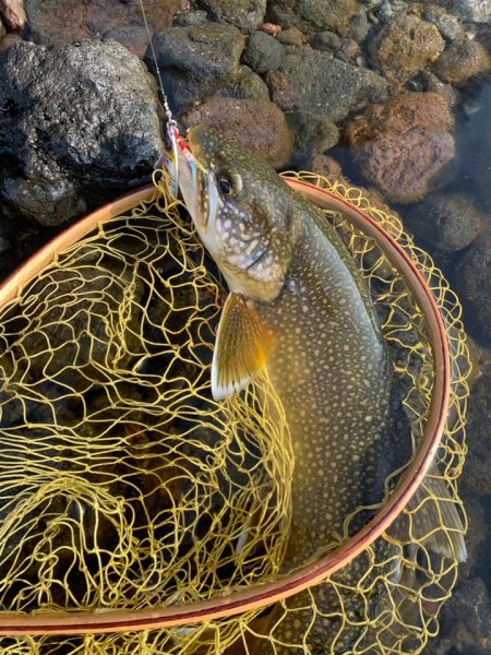 画像7: ストリーム　ジグバレット輝龍　20ｇ (7)