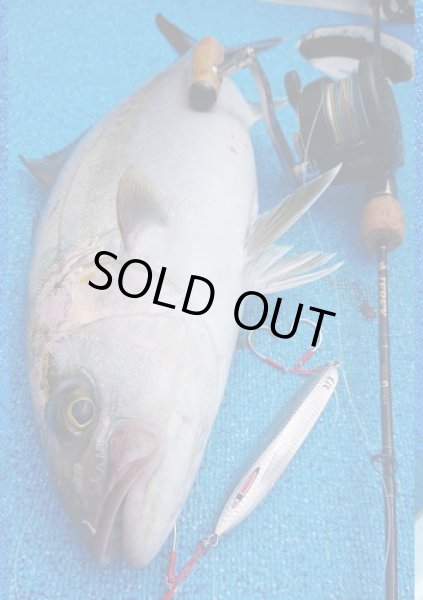 画像3: シーフロアコントロール　メサイアショート180ｇ　レッドドットグロー (3)