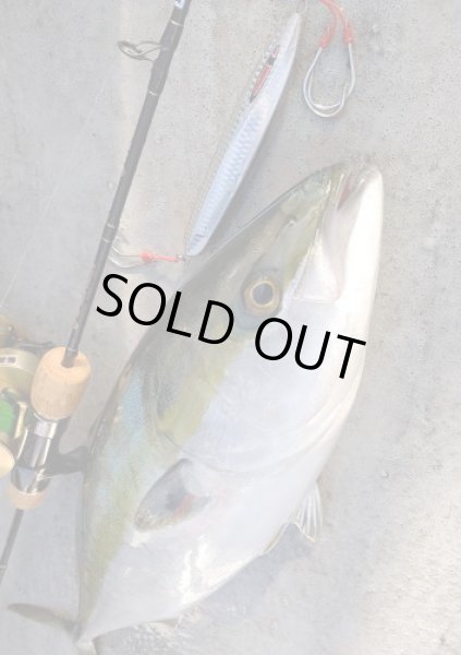 画像2: シーフロアコントロール　メサイアショート180ｇ　レッドドットグロー (2)