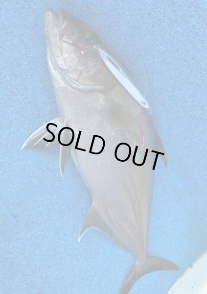 画像4: シーフロアコントロール　メサイアショート180ｇ　レッドドットグロー (4)