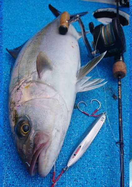 画像3: シーフロアコントロール　メサイアショート180ｇ　チャートイエローゼブラグロー (3)