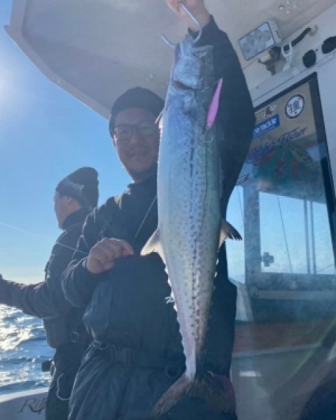 画像8: ブリード　ブルテリア250ｇ　オールグロー (8)