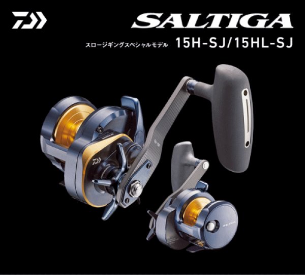 Daiwa SALTIGA 15H-SJ ダイワ ソルティガ スロージギング | www ...