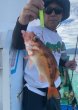 画像3: シーフロアコントロール　アーク200g　ホシノ釣具店オリカラ　1カラー (3)