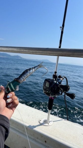 画像3: ハピソン　LEDタチウオテンヤ50号 (3)