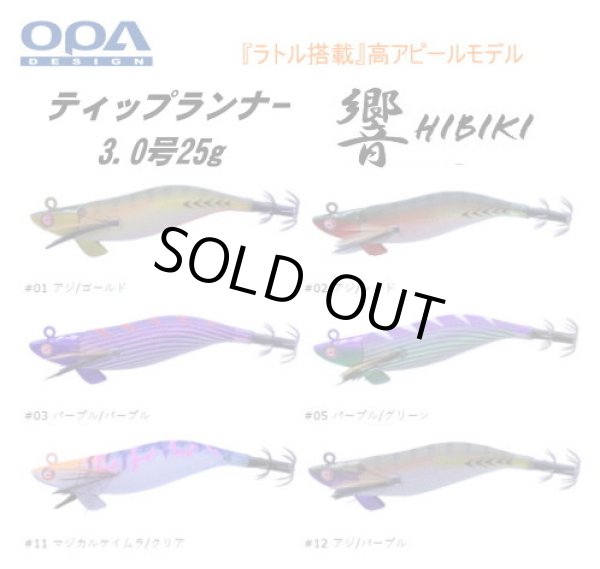 画像1: クレイジーオーシャン　ティップランナー響HIBIKI　3.0号/25ｇ (1)