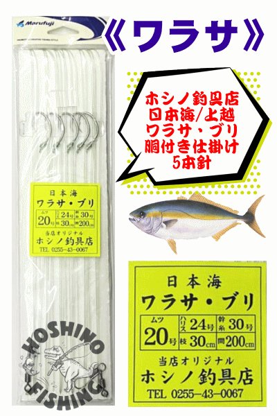 上越電気ブリ対応】【ホシノ釣具店オリジナル仕掛け】日本海ワラサ・ブリ胴突き仕掛け／5本針 針20号/ハリス24号/幹糸30号 -  ホシノ釣具店オンラインショップ