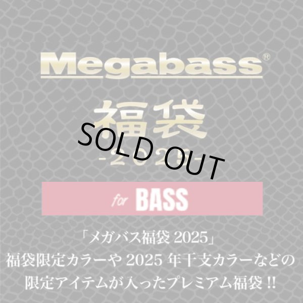 画像1: 【送料無料】メガバス2025福袋 for BASS (1)