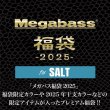 画像1: 【送料無料】メガバス2025福袋 for SALT (1)