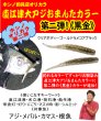 画像2: reins×ホシノ釣具店　第二弾！【直江津大アジおまんたカラー/黒金】アジアダー・アジリンガーPro (2)