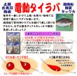 画像2: 【電動リール/ディープタイラバ】ホシノ釣具店セレクトディープタイラバセット　150ｇ〜250ｇ (2)