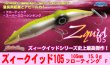 画像1: アグア　ズィークイッド105（フローティング/F）　 (1)