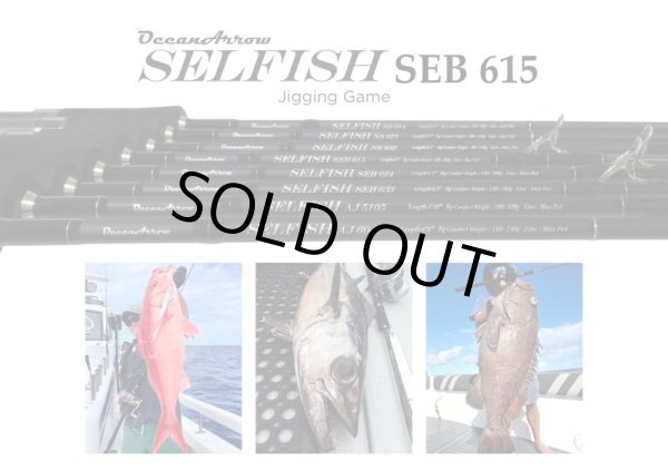 画像1: リップルフィッシャー　SELFISH SEB 615　※別途送料 (1)
