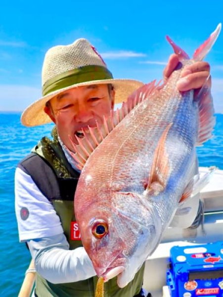 画像4: SASALABO　タイラバ専用ビッグワーム BIG BOSS イワシモデル Jr.（4.8in,）_コーラ赤ラメ (4)