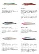 画像2: マリア　レガート 190Ｆ　190mm/60ｇ/フローティング (2)
