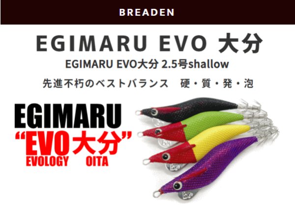 画像1: 【ドロッパー】ブリーデン　EGIMARUEVO大分 2.5号shallow (1)