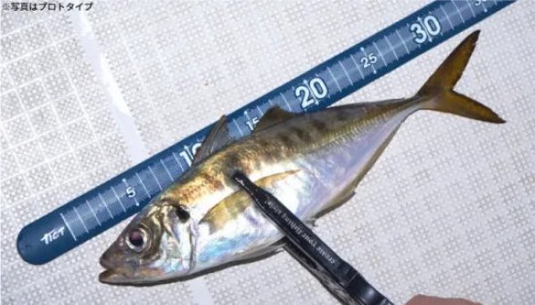 画像3: TICT　パッチンスケール (3)