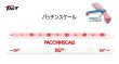 画像1: TICT　パチンスケール (1)