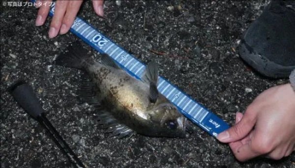 画像4: TICT　パッチンスケール (4)