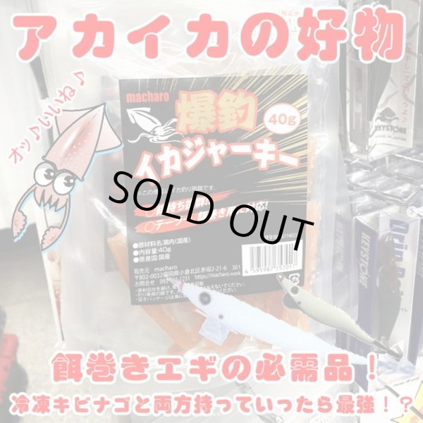 画像1: 【イカ釣り用エサ】爆釣イカジャーキー40ｇ (1)