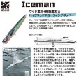 画像2: ゼスタ　アイスマン220　220mm/97g　 (2)