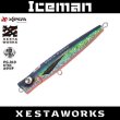 画像1: ゼスタ　アイスマン220　220mm/97g　 (1)