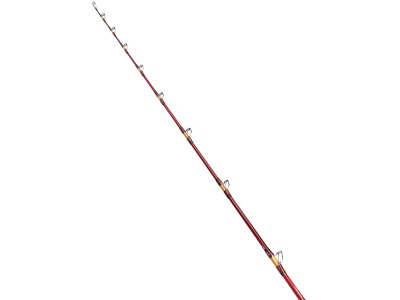 画像1: 【上越電気ブリ対応】ダイワ ディープゾーン 300-240・K 200-500号 ※別途送料