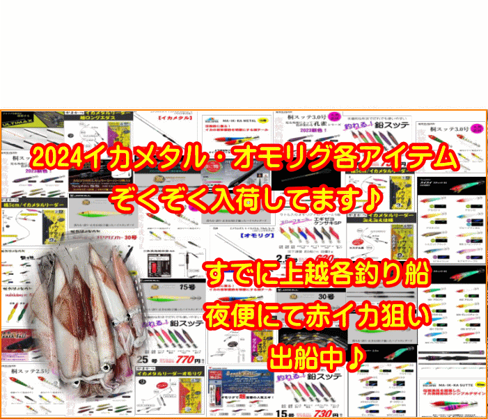 ホシノ釣具店 餌釣りからルアーまで 上越から全国へ通販