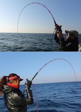 ダイワ リーオマスター真鯛SX S-300 - ホシノ釣具店オンラインショップ