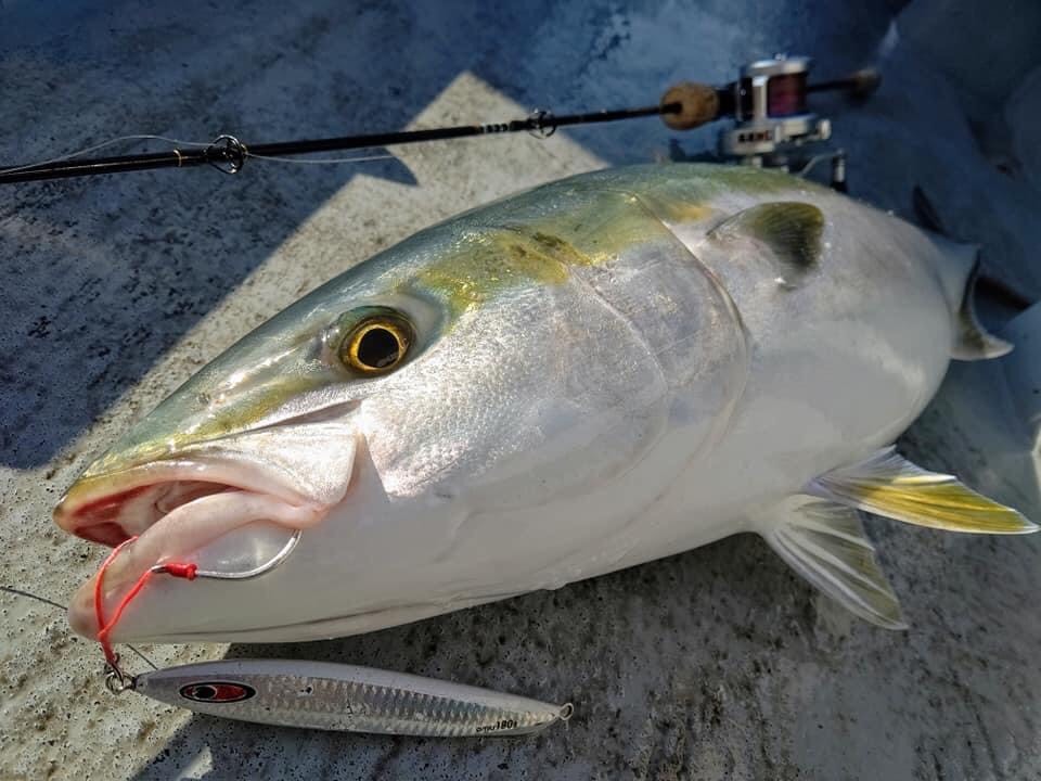 シーフロアコントロール アム 180ｇ 問屋別注カラー/キラースクイッド