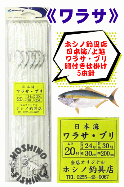 上越電気ブリ対応】【ホシノ釣具店オリジナル仕掛け】日本海ワラサ・ブリ胴突き仕掛け／5本針 針20号/ハリス24号/幹糸30号 -  ホシノ釣具店オンラインショップ